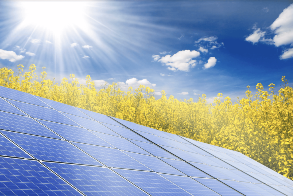 placas solares