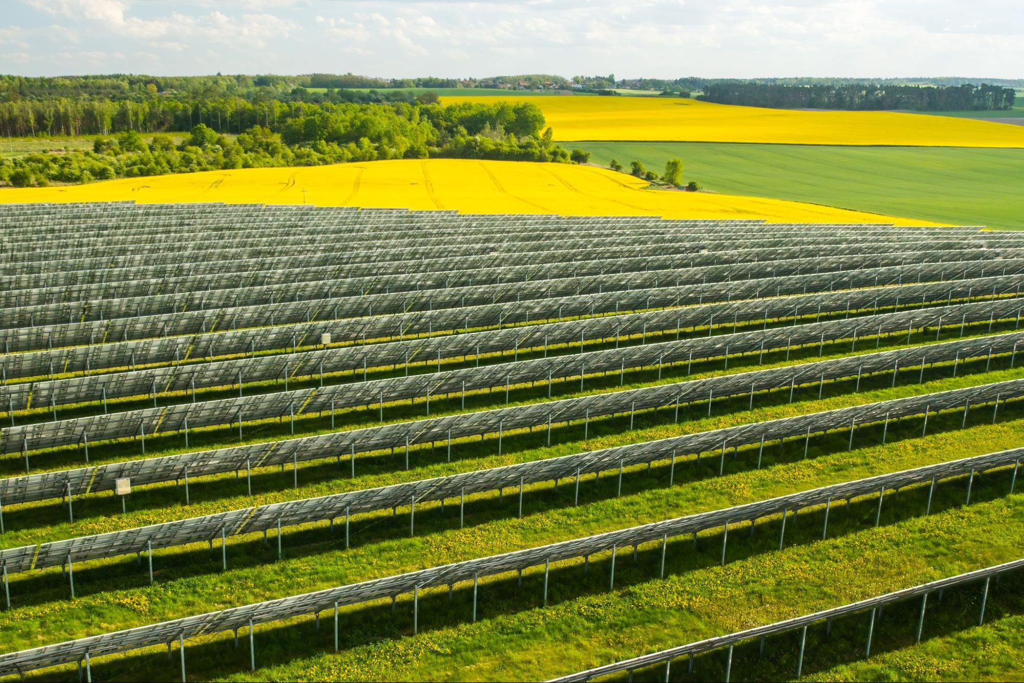 alquilar terreno para placas solares