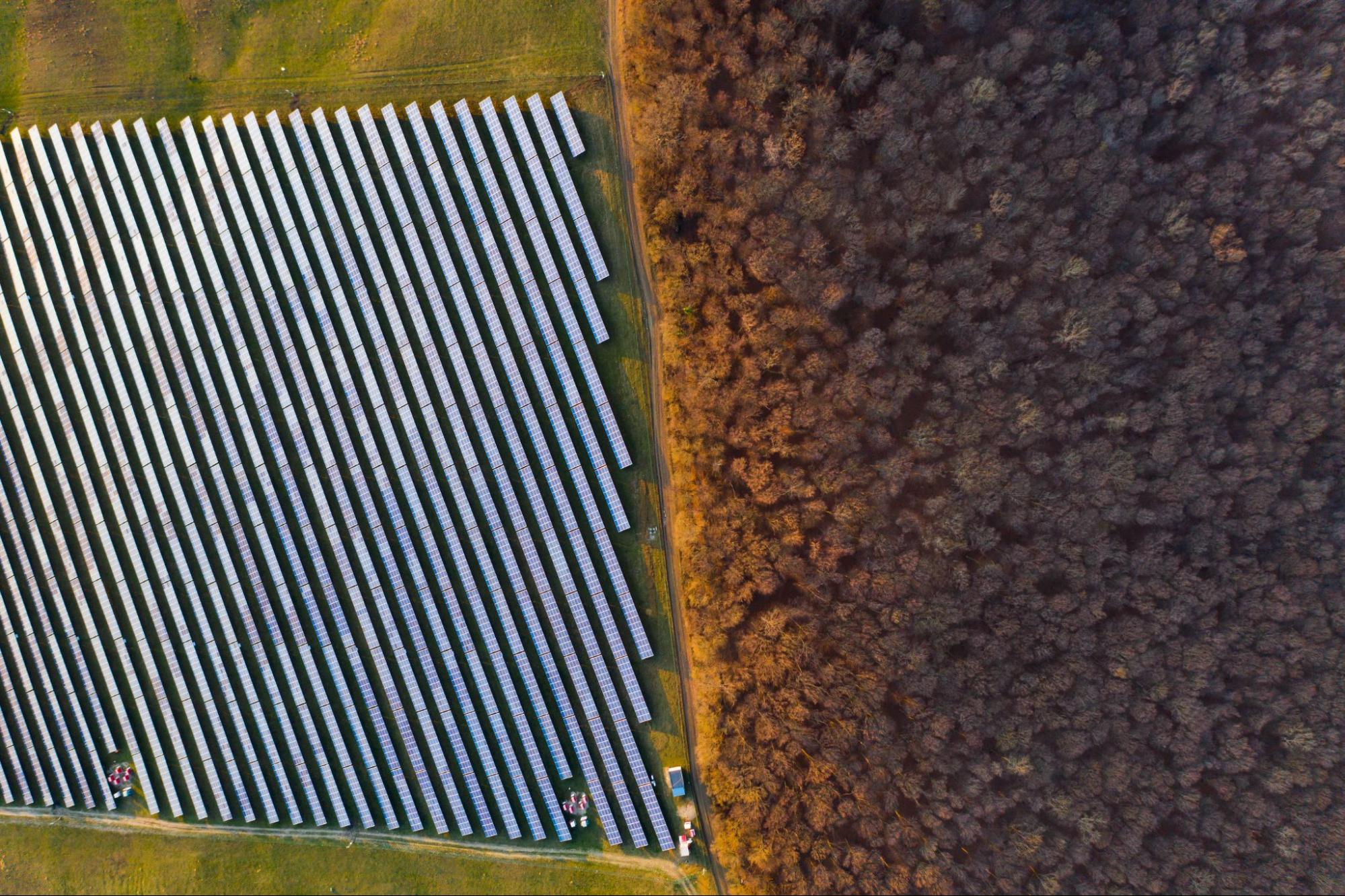 quiero alquilar un terreno para placas solares