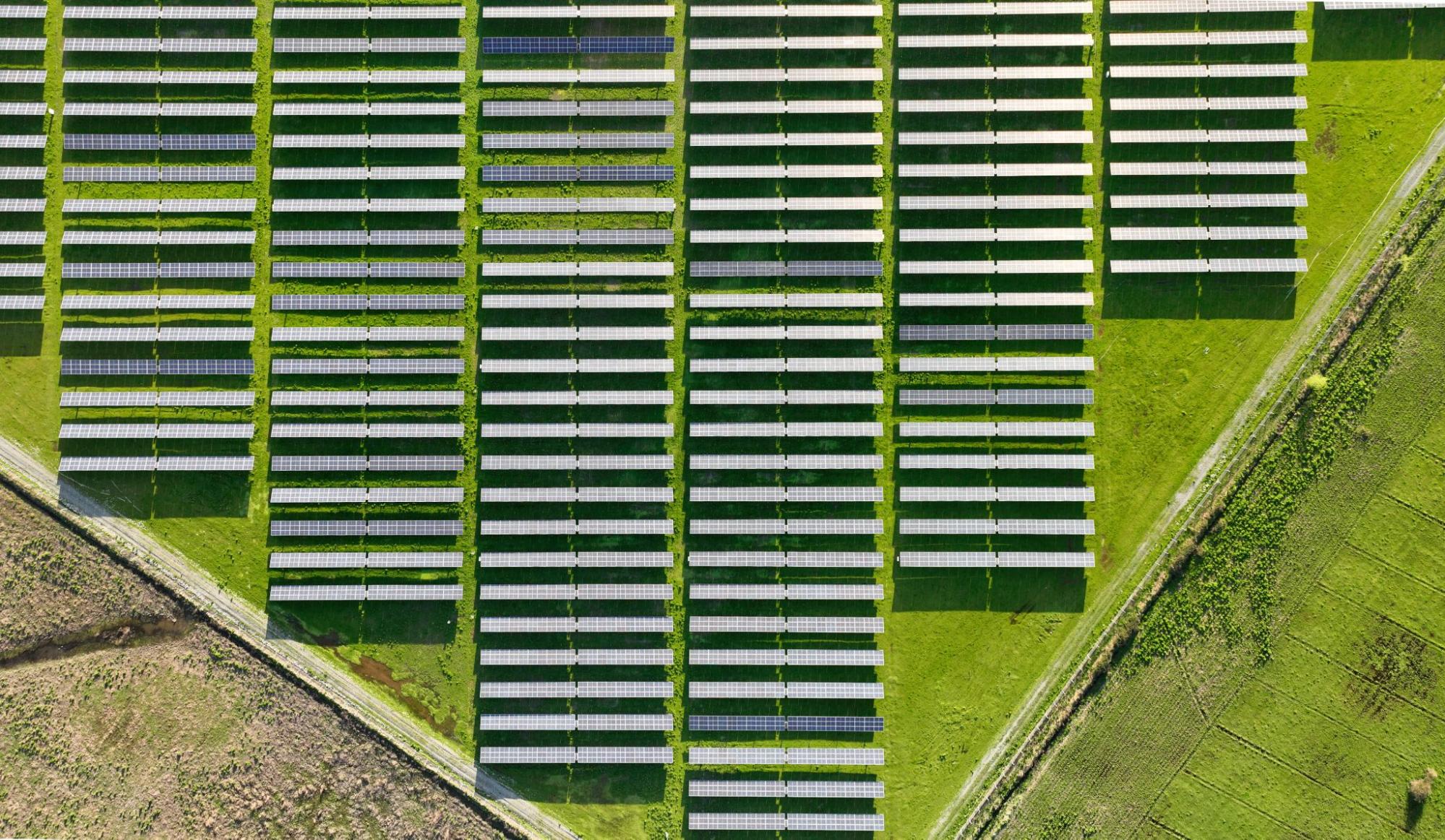 agrivoltaica un campo mas sostenible